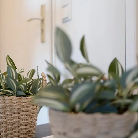 Apartment Baltic Duenenbude *